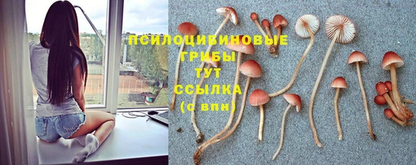 ПСИЛОЦИБИНОВЫЕ ГРИБЫ Лихославль