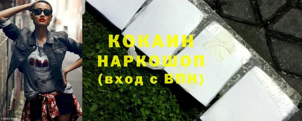 дмт Бердск