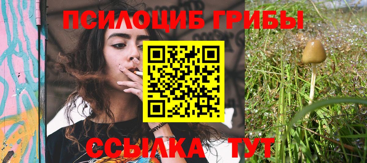 Сухой Лог  Псилоцибиновые грибы Magic Shrooms  купить наркотик  Вход с VPN 