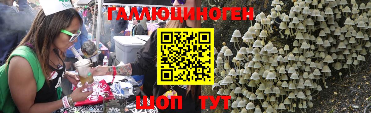 Галлюциногенные грибы Magic Shrooms Сухой Лог
